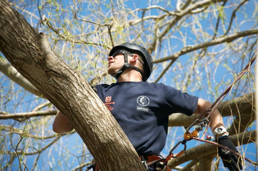 Dan compete for the first time at the NZAA South Island Climbing Competition