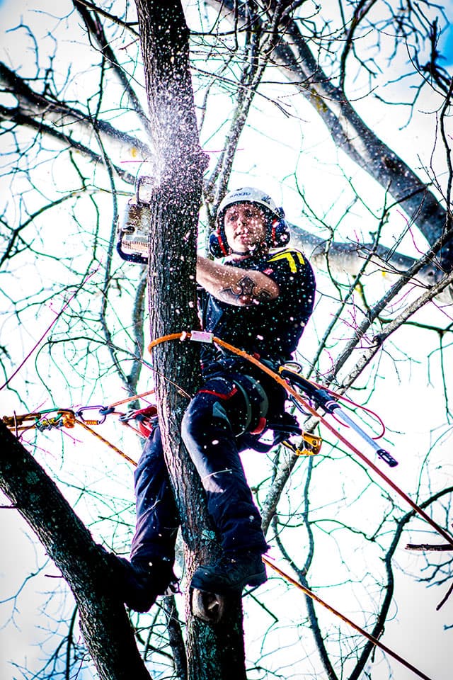 Tree work is inherently dangerous; we deal with heavy machinery and chainsaws while working at heights.