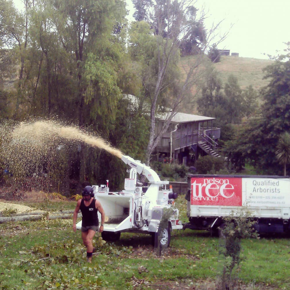 Brush Chipping services from Nelson Tree Specialists