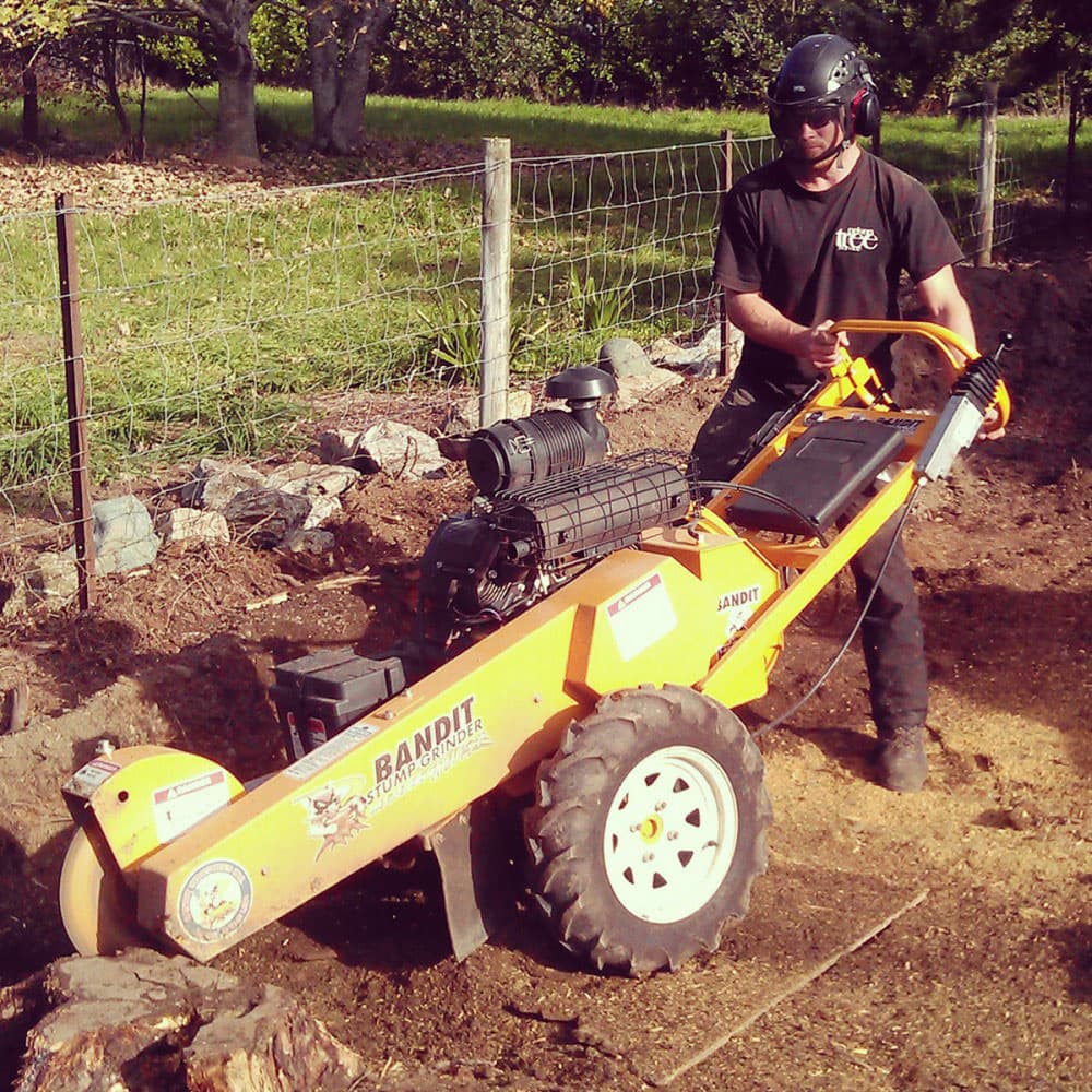 Stump Grinding services from Nelson Tree Specialists